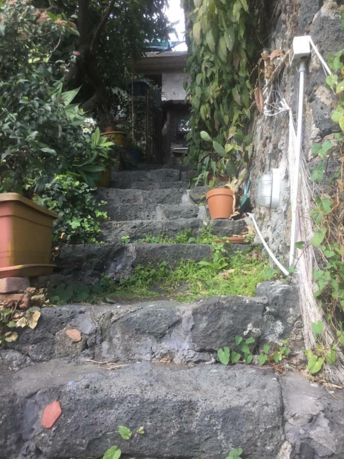 阿奇雷亚莱Pepa House公寓 外观 照片